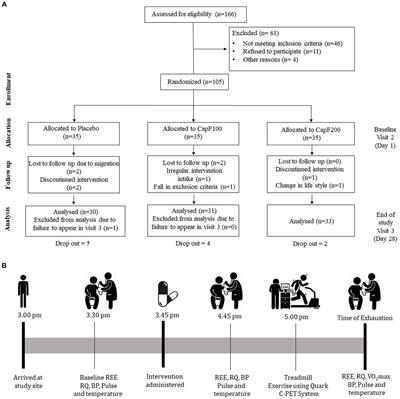 A natural sustained-intestinal release formulation of red chili pepper extracted capsaicinoids (Capsifen®) safely modulates energy balance and endurance performance: a randomized, double-blind, placebo-controlled study